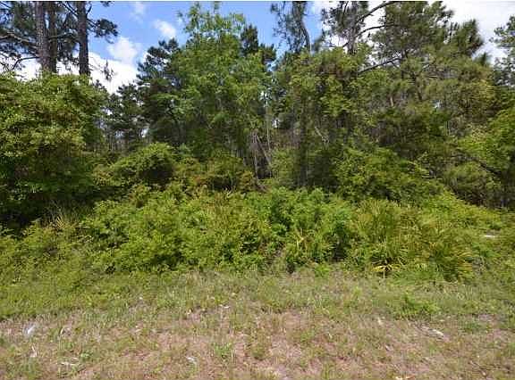 4th image of 1995 Highway 98 W
