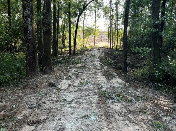 5 County Road 2213, Goshen, AL 36035