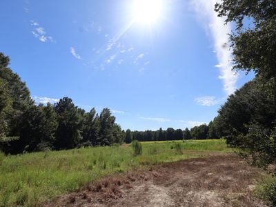 1349 Patton Rd, Manning, SC, 29102