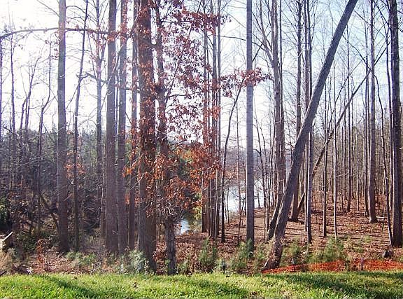 Community Lake Access/Day Docks