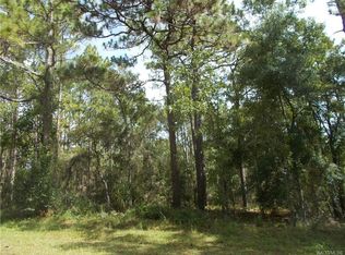 1829 W Stafford St, Hernando, FL 34442