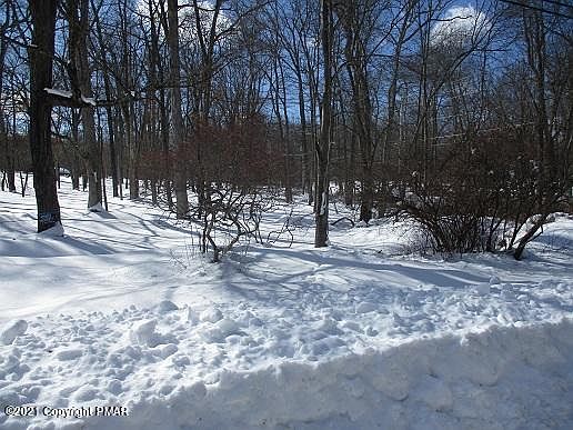 2nd image of Bluebird Ln