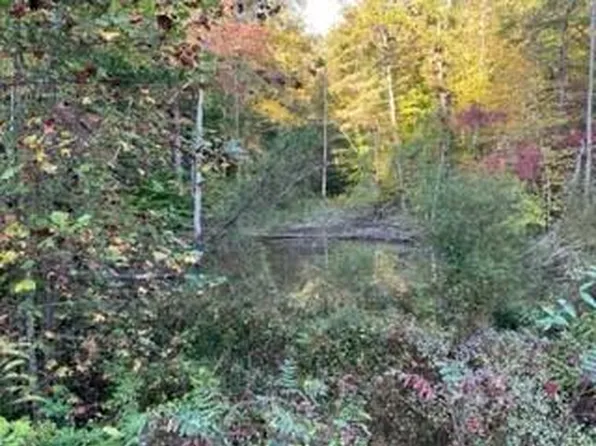1001 Wilber Rd, Blaine, KY 41124