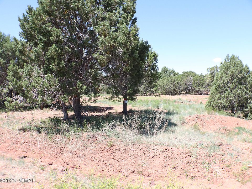 6717 Cheney Ranch Loop, Show Low, AZ 85901 Zillow