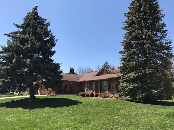 Two stately pines in front