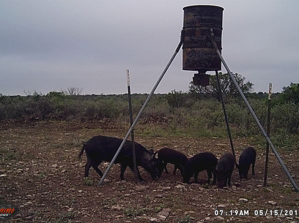000 Ward Ranch Road, Comstock, TX 76943