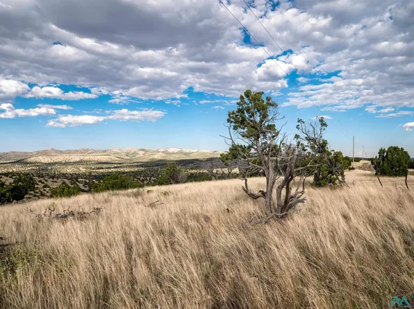 123 Ridge View Rd, Magdalena, NM 87825