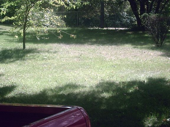 5th image of 12 Clark St