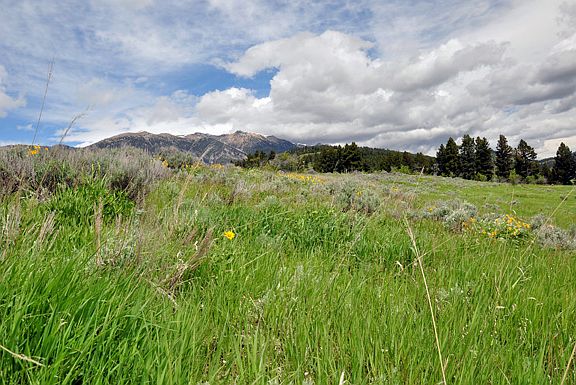 3rd image of Lot 2b Bridger Hills Drive
