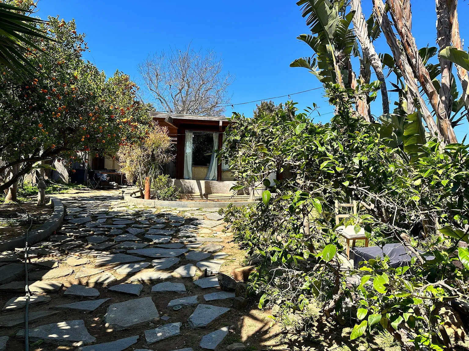 1 bed, 650 sqft, $4,500 — Photo 3