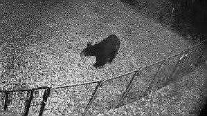 3rd image of 581 Cherokee Rd