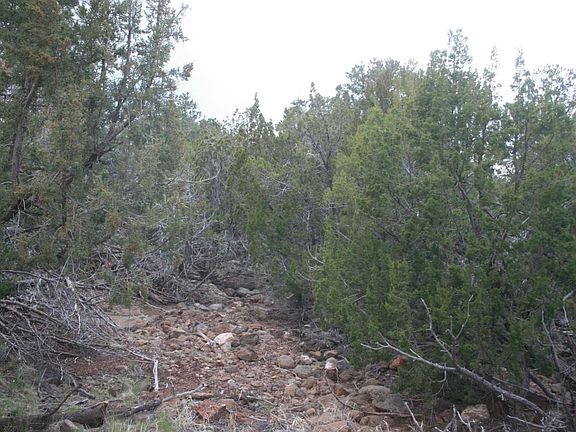 3rd image of 1861 Lara Ln