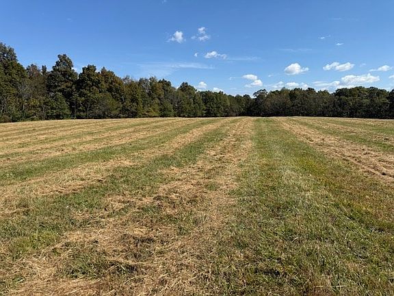 3rd image of 555 Smith Rd #Rd_lot-4