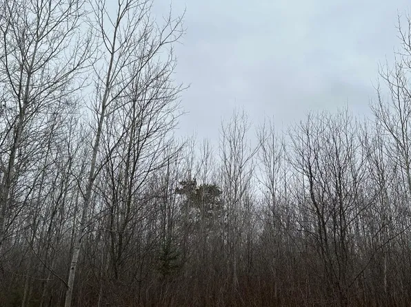 Burrows Lake Rd #4067-A, Tomahawk, WI 54487