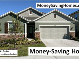 33556 Odessa Area New Money-saving Home, Odessa, FL 33556