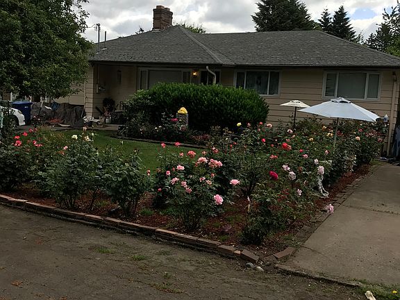 Award winning Rose Garden