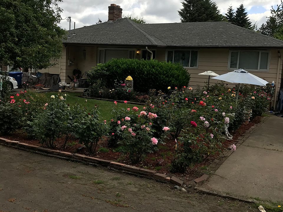 Award winning Rose Garden