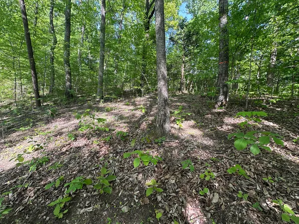 0 Deerfoot Rd, Cosby, TN 37722