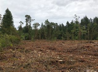 16634 Sargent Rd SW, Rochester, WA 98579