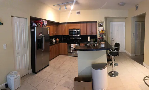 255 NE 3rd Ave #2302 Photo 1