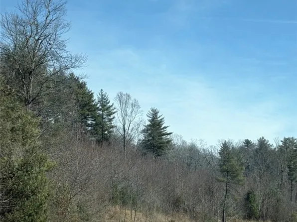 TBD Hwy 21 S/Hollyknoll Rd., Glade Valley, NC 28627