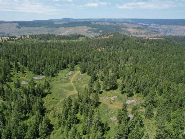 Sickfoot Rd, Wallowa, OR 97885