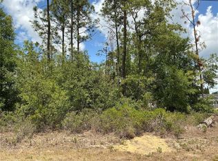 SE 160th Pl LOT 19, Summerfield, FL 34491