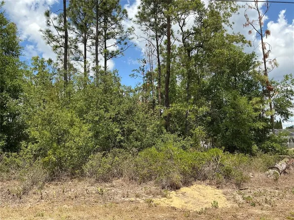 SE 160th Pl Lot 19, Summerfield, FL 34491