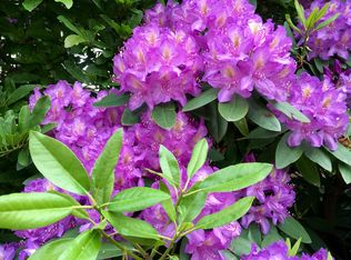 4630 Winthrop St, Pittsburgh, PA 15213