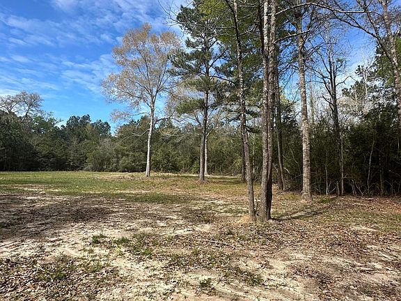 5th image of Stamps Rd