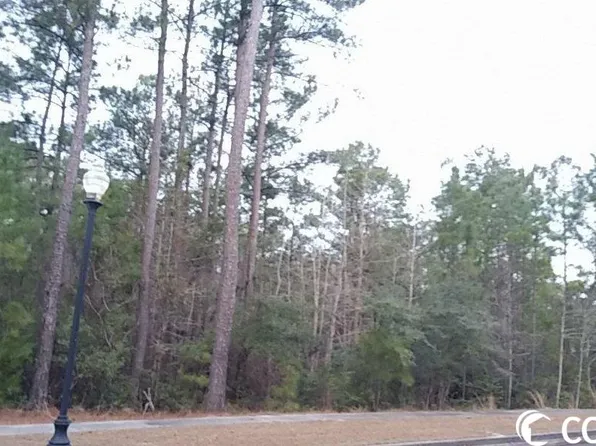 78 Pineberry Dr. Lot 167 Harmony Old Town, Georgetown, SC 29440