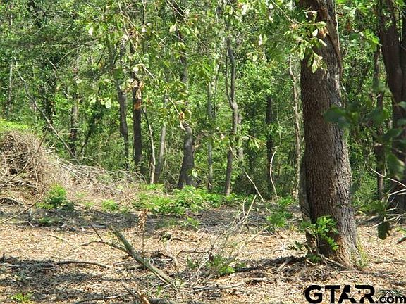2nd image of 0 County Road 4105