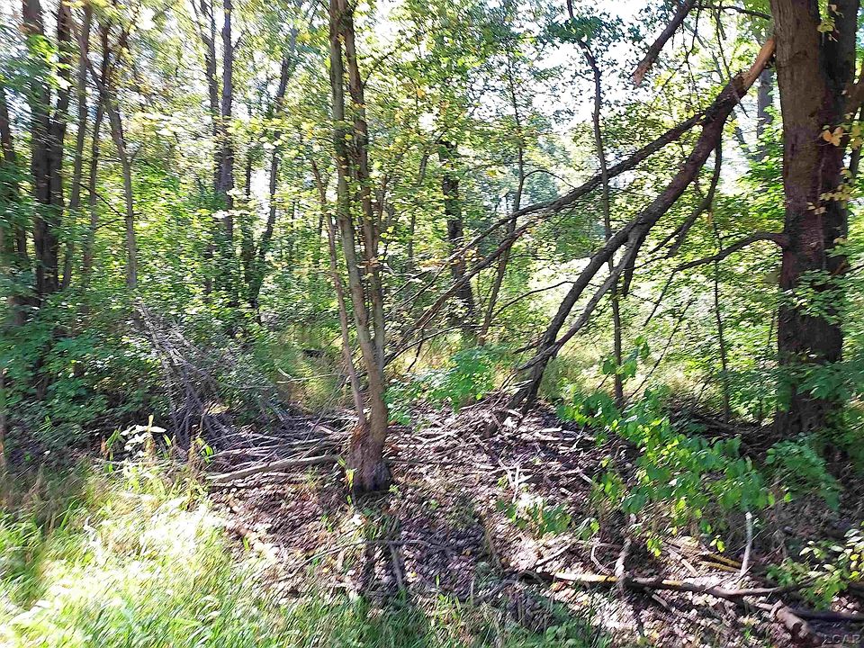 2nd image of 203 Kirkley Dr