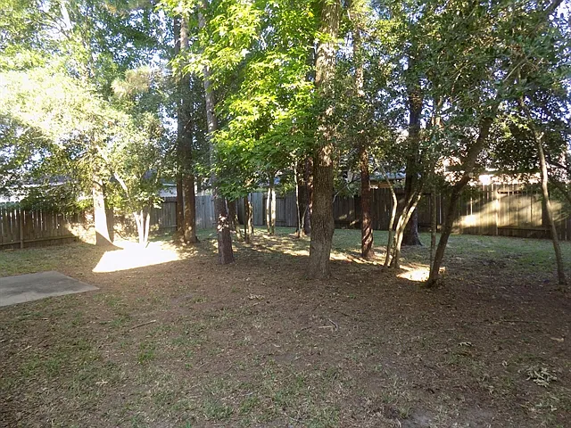 12738 Cooper Breaks Dr — Photo 13