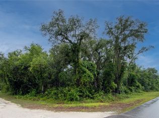 9315 Ancon Ave, Webster, FL 33597