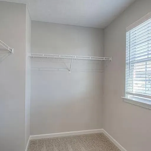 1847 Bethpage Dr — Photo 3