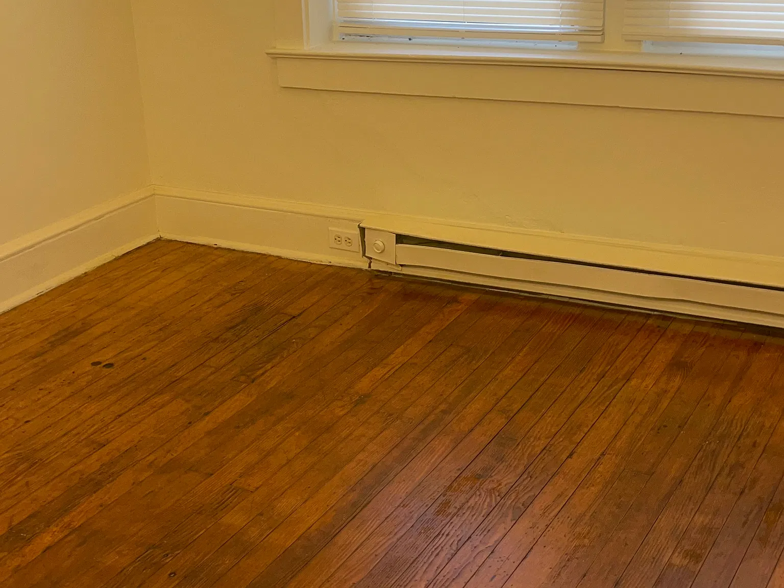 2 bed, 560 sqft, $1,400 — Photo 4