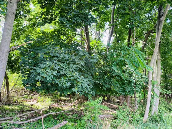 25 Horan Rd #40, Medina, NY 14103