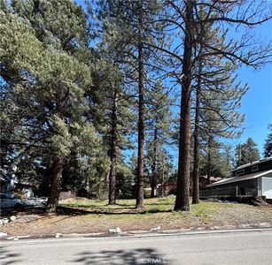 0 Sheep Creek Dr #112, Wrightwood, CA, 92397