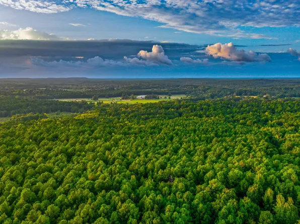 6180 Mulberry Rd, Big Sandy, TX 75755