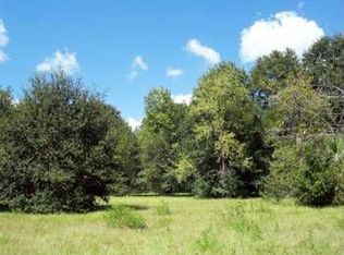 10316 Bryant Rd, Lithia, FL 33547