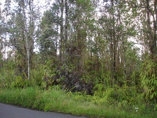 1st image of Plumeria St Lot 6488