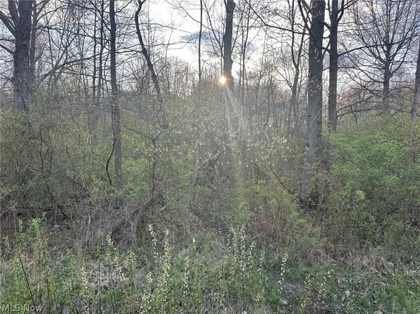 Industry Rd, Rootstown, OH 44272