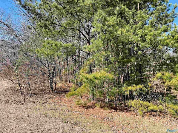 Cardinal Dr Lot 17, Guntersville, AL 35976