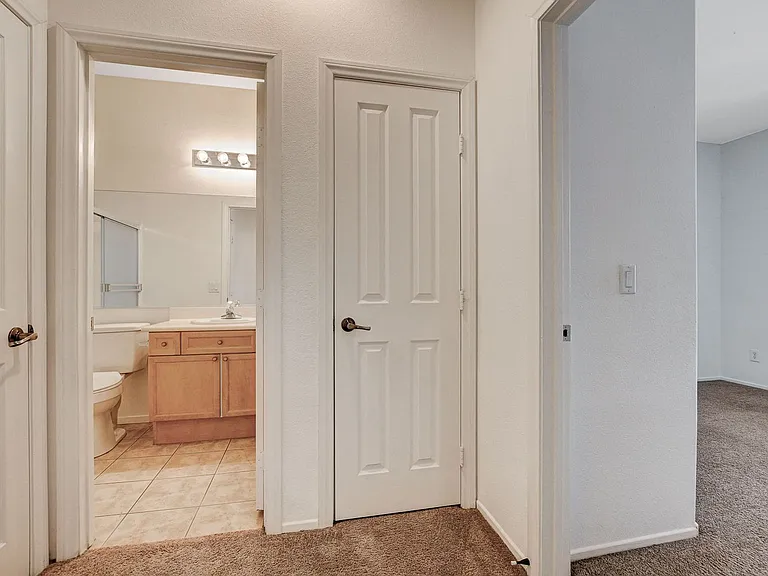 9215 Horseshoe Basin Ave — Photo 33