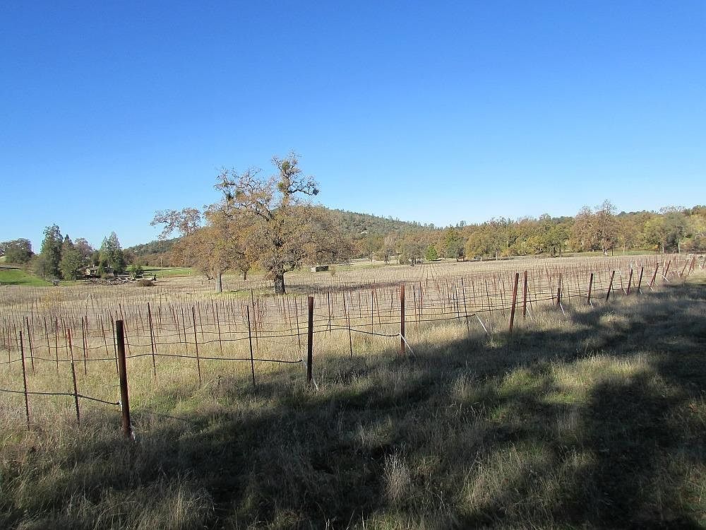 2800 Omo Ranch Rd, Somerset, CA 95684 Zillow