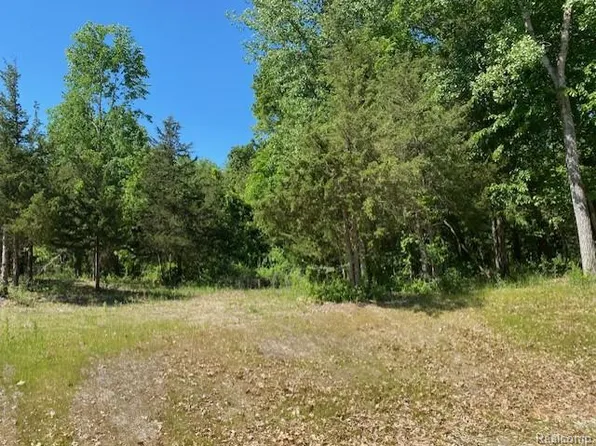 LOT 5 Dollar Ridge Ln, South Lyon, MI 48178