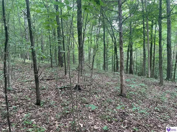 0 Barton Ferry Rd, Caneyville, KY 42721