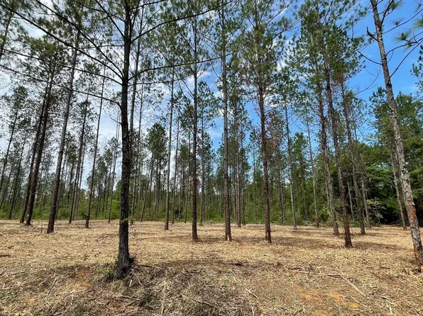 Ramsey Rd Lot 1, Saucier, MS 39574