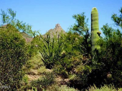 23240 N 95th Pl, Scottsdale, AZ, 85255